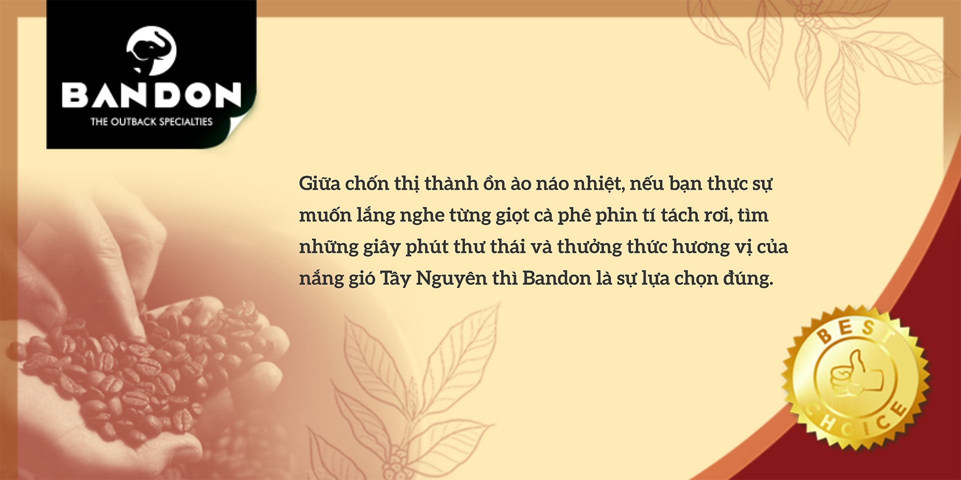 câu chuyện thương hiệu bandon