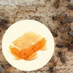 e55285d1c8c51d1fe7fb3d9567facd7c