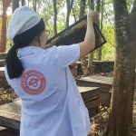 Mật ong chín Honimore Hoa Cao Nguyên 990g
