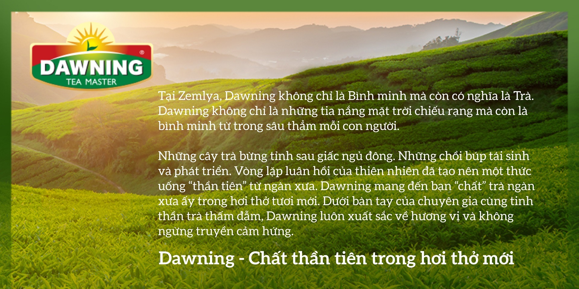banner minh họa