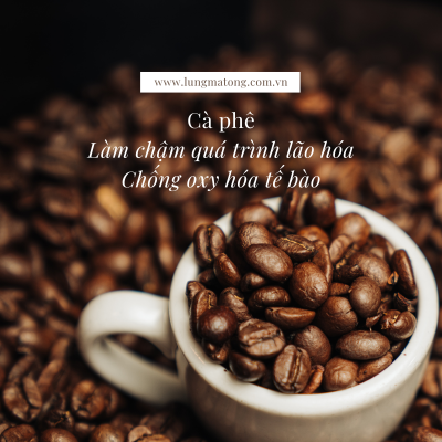 13 lợi ích của cafe đối với sức khỏe 22 cafe 10
