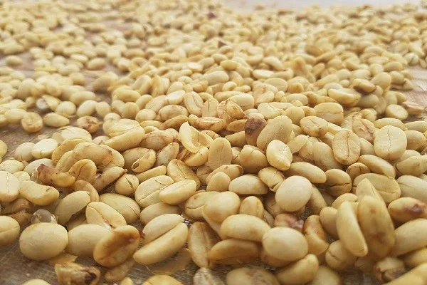 Cà phê – thức uống làm thay đổi thế giới 50 cafe 25