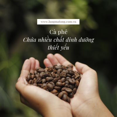 13 lợi ích của cafe đối với sức khỏe 15 cafe 3