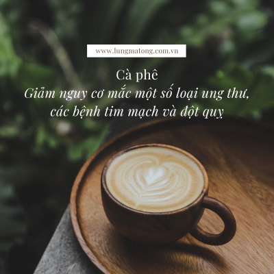 13 lợi ích của cafe đối với sức khỏe 21 cafe 9