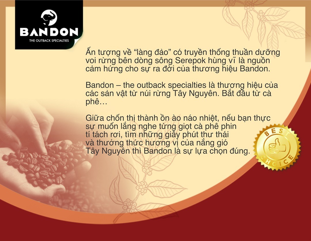 Bandon Mobile Infographic 3