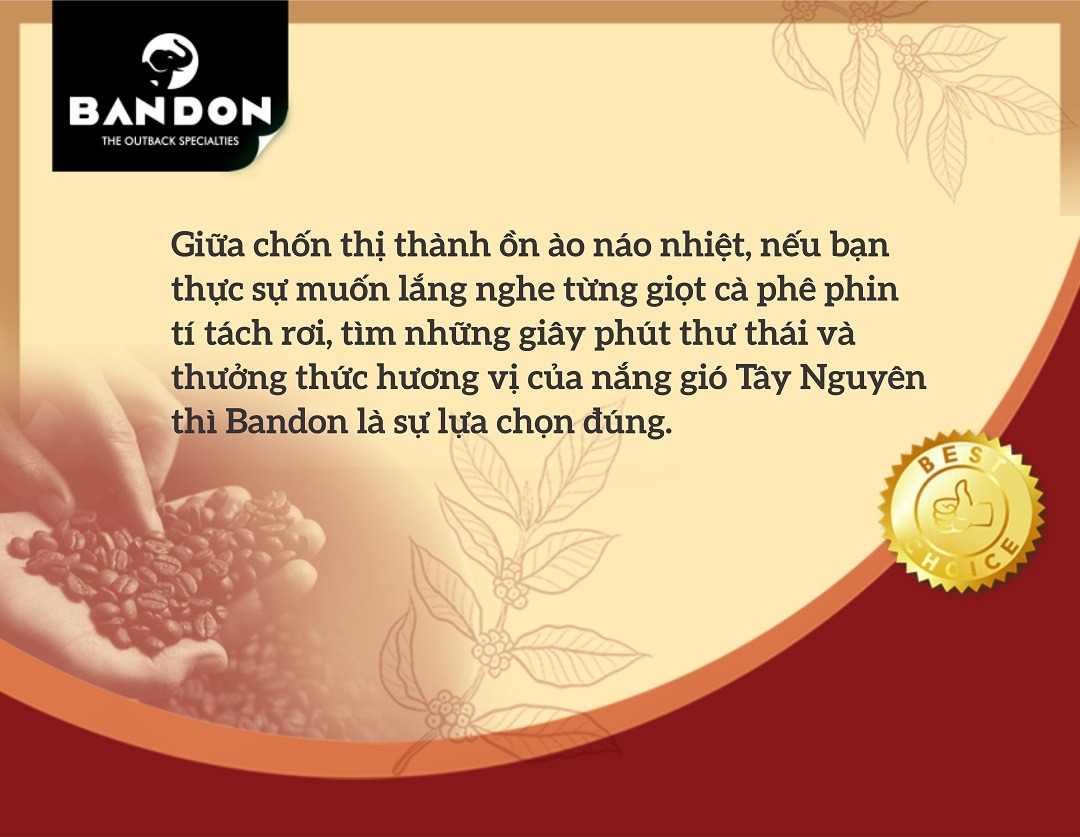 ccth chính