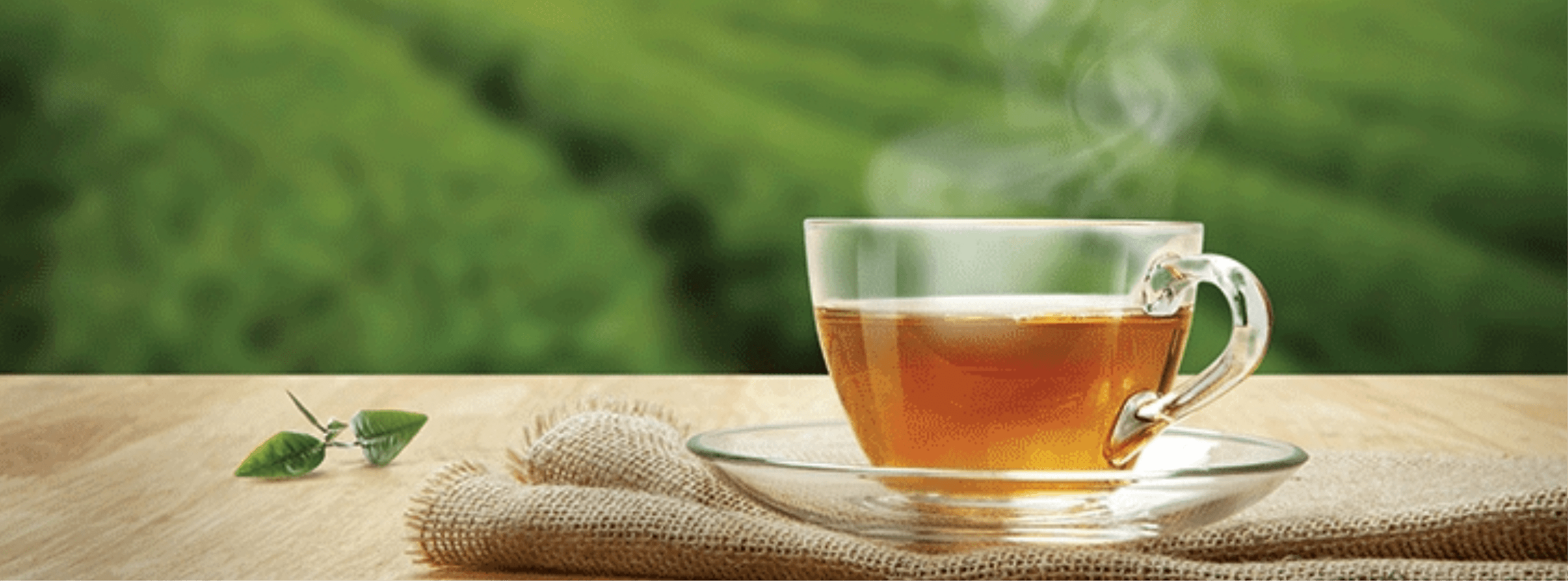 kiến thức về trà